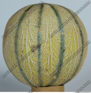 Melon Galia 0009